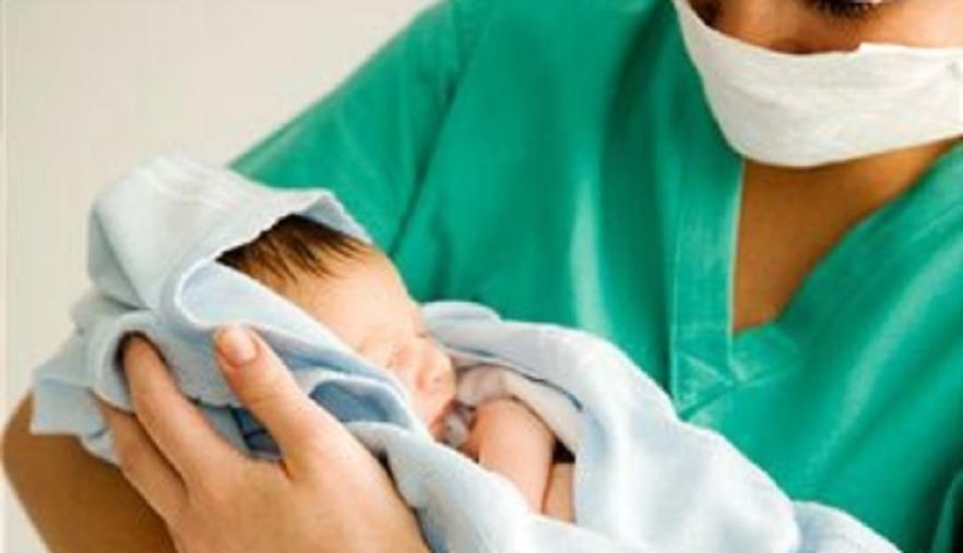 images Parte male la campagna 2019 del miele: in Calabria perdita per oltre 3 milioni