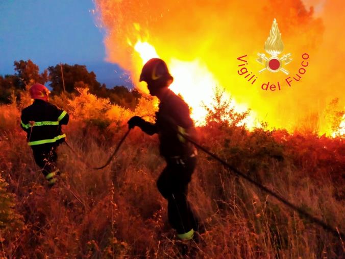 Prevenzione incendi, l'ordinanza di Fiorita per la gestione del verde ai lati delle strade images Prevenzione incendi, l'ordinanza di Fiorita per la gestione del verde ai lati delle strade