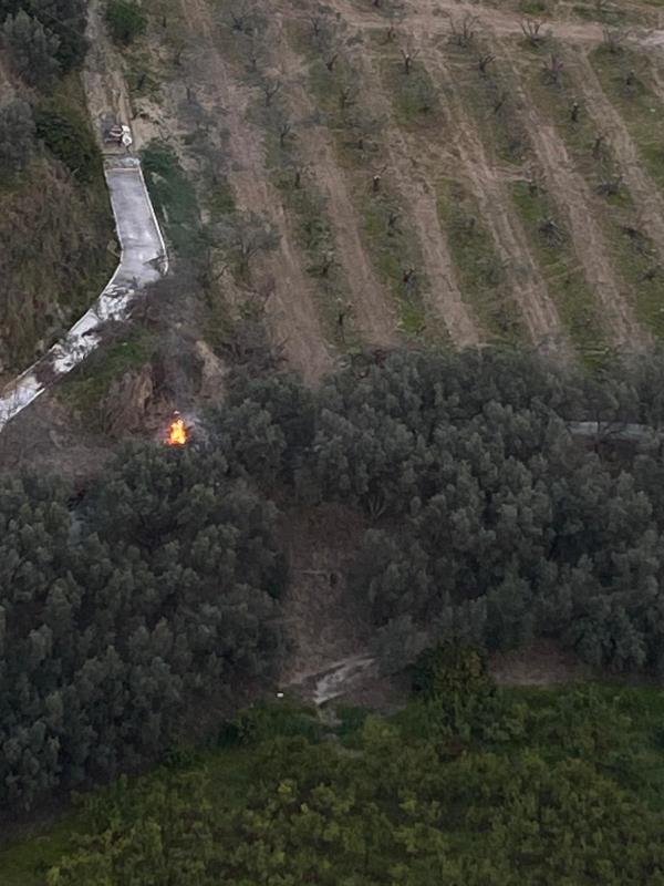 images I dati della campagna 2019 diffusi dall'Azienda Calabria Verde: "Incendi in aumento"