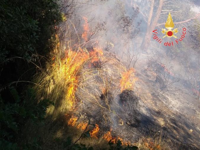 E’ partita la Campagna Antincendio Boschivo 2021 di Calabria Verde: 900 uomini e 60 mezzi contro l'emergenza images E’ partita la Campagna Antincendio Boschivo 2021 di Calabria Verde: 900 uomini e 60 mezzi contro l'emergenza