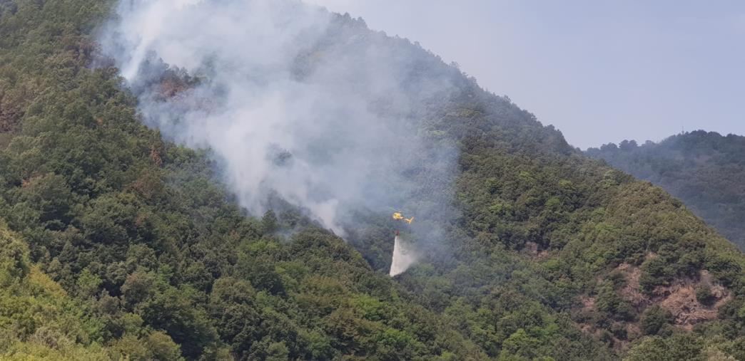 images Riserva Valli Cupe. Nella notte incendio nel sentiero del Crocchio: ora è chiuso ai visitatori. Indagano i carabinieri