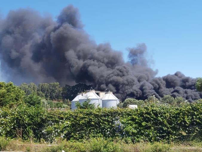 Inquinamento del litorale tirrenico, il CMDT interviene sulla "condotta killer" a Gioia Tauro images Inquinamento del litorale tirrenico, il CMDT interviene sulla "condotta killer" a Gioia Tauro