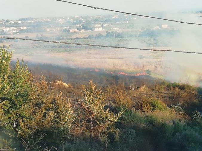images Parte in Calabria l'iniziativa di Consip "Sportelli in Rete" dedicato alle piccole e medie imprese 
