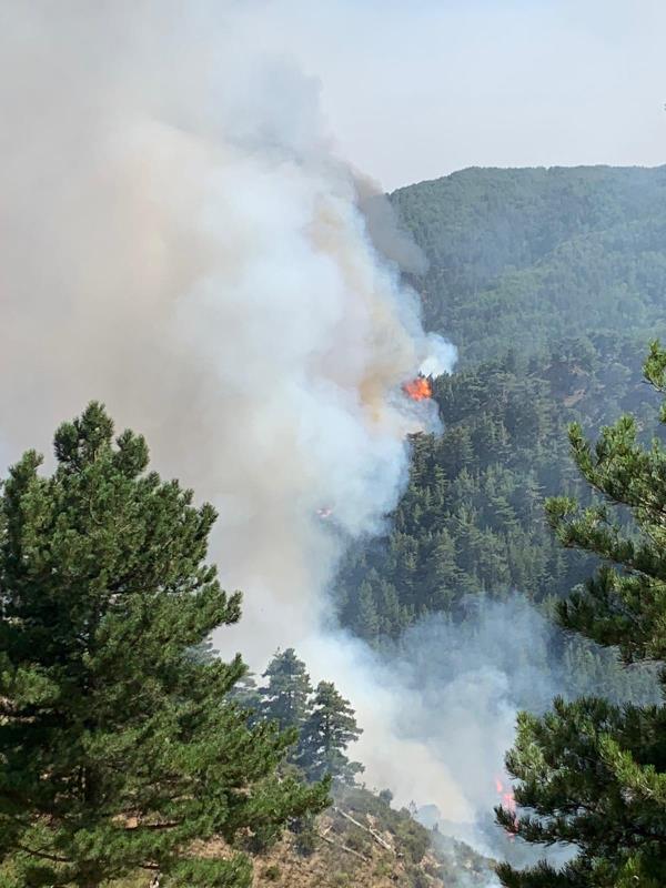 Incendi San Luca, Spirlì: "Attivi mezzi aerei e di terra" images Incendi San Luca, Spirlì: "Attivi mezzi aerei e di terra"