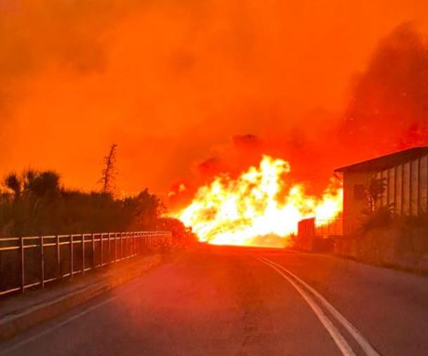 images Catanzaro. Fiamme spaventose e ritardi: il disastro nell'area della pineta di Siano