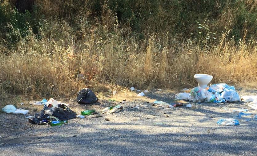 Cumuli di rifiuti lungo via Galiani a Catanzaro, Mungo: "Auguri alla Giunta, ora sotto con il lavoro"  images Cumuli di rifiuti lungo via Galiani a Catanzaro, Mungo: "Auguri alla Giunta, ora sotto con il lavoro"