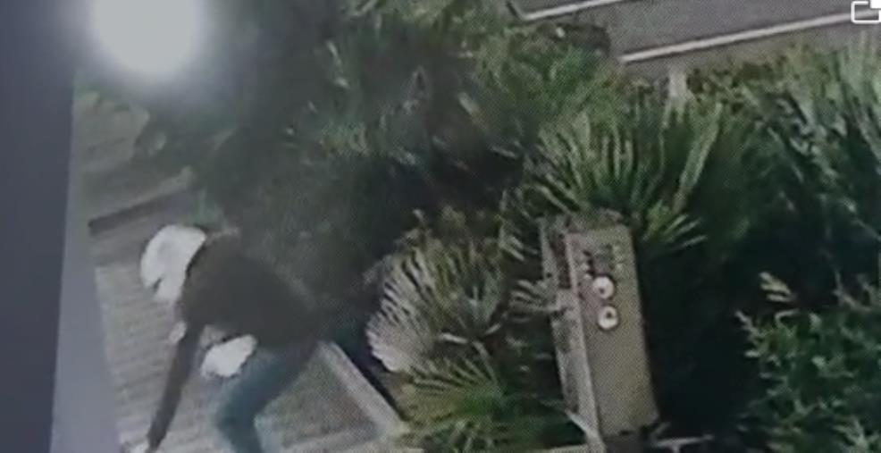 Rende, intimidazione al gruppo Ionà: ecco le immagini che inchiodano l'attentatore images Rende, intimidazione al gruppo Ionà: ecco le immagini che inchiodano l'attentatore