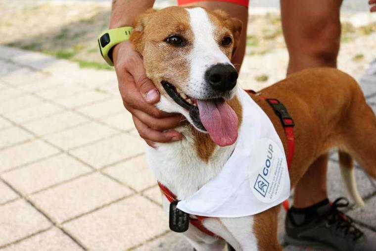 images Volley, Velasco a Camigliatello con l'Italia Under 19