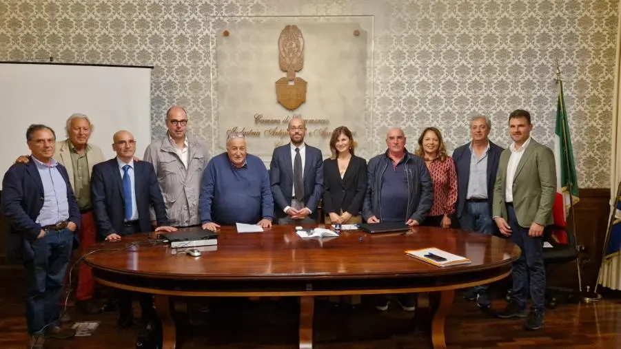 images Olio d'oliva, pubblicati i primi 2 bollettini con la rilevazione settimanale dei prezzi 