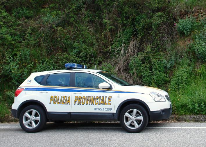 Trovati dalla Polizia provinciale di Cosenza 4 autocarri rubati: erano stati nascosti in un capannone della Provincia  images Trovati dalla Polizia provinciale di Cosenza 4 autocarri rubati: erano stati nascosti in un capannone della Provincia