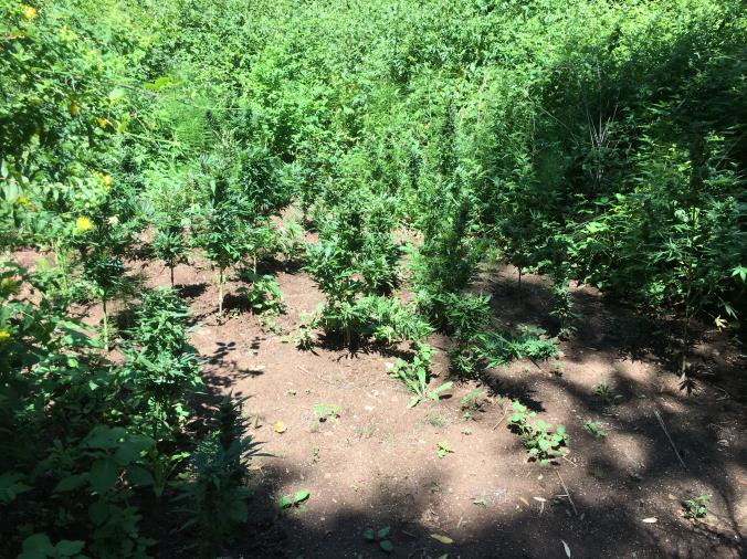 images Lamezia Terme, il vescovo Schillaci e quei "poteri assoluti" che non ha