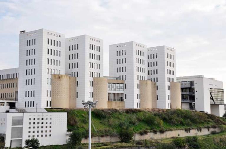 Controlli canapa sativa: c'è un accordo tra i carabinieri e il dipartimento di Agraria dell'Università di Reggio Calabria images Controlli canapa sativa: c'è un accordo tra i carabinieri e il dipartimento di Agraria dell'Università di Reggio Calabria