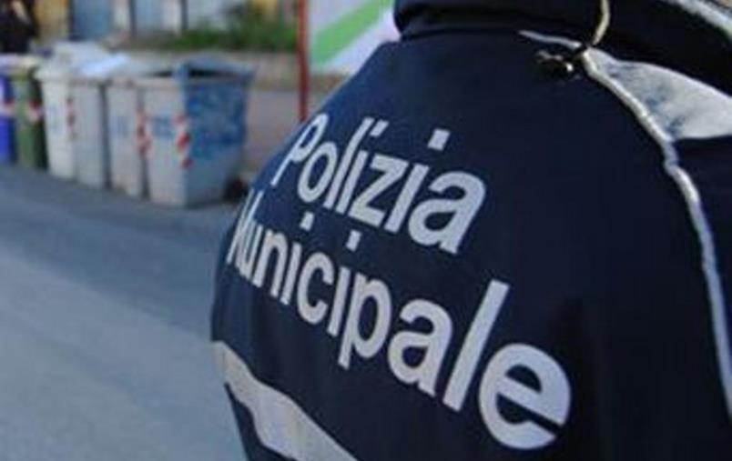 images Catanzaro, vigile urbano preso a pugni dal rom che occupa abusivamente una casa popolare