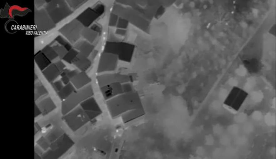 Rinascita Scott, catturati i latitanti Salvatore Morelli e Domenico Tomaino  images Rinascita Scott, catturati i latitanti Salvatore Morelli e Domenico Tomaino