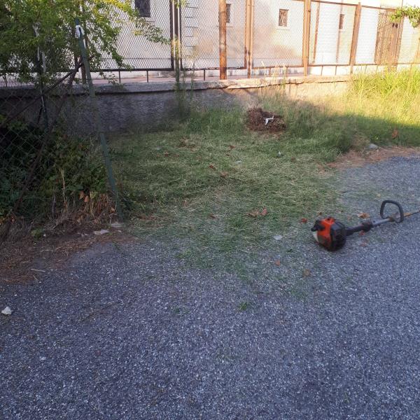 images Catanzaro, Abramo: “Il Comune riparerà la passerella per disabili del Valentino Beach" 