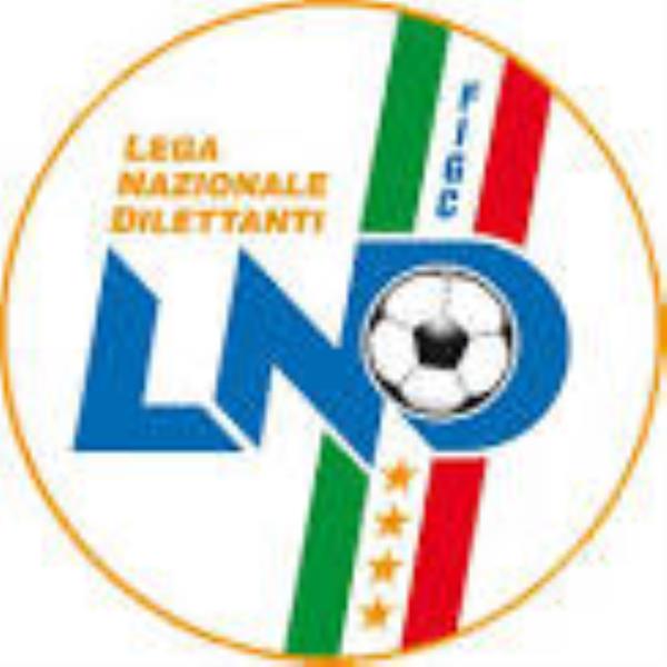images Regionali. Tutti i candidati della Lega con Santelli (I NOMI)