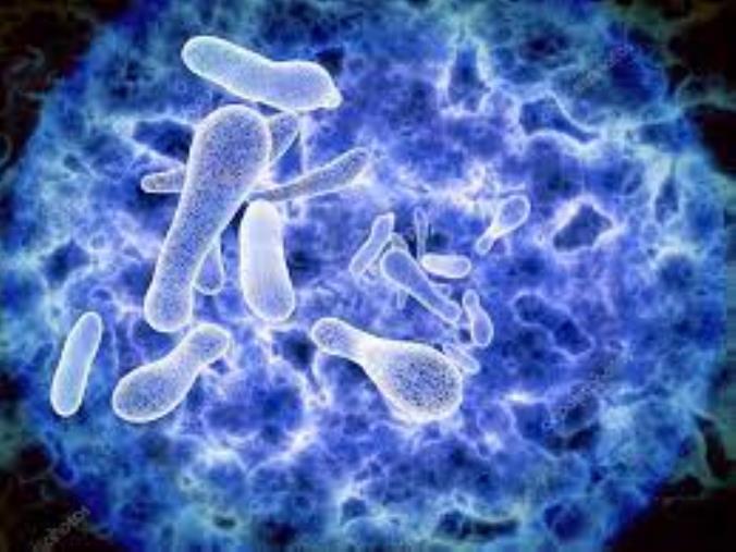 images Caso di legionella a Catanzaro: domani 13 ottobre la campionatura presso l'abitazione evacuata