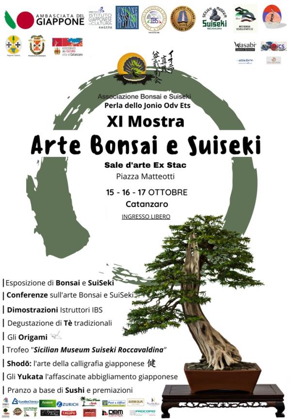 Catanzaro, l'assessore Cardamone: “Tre giorni con l’arte del bonsai animeranno il centro storico” images Catanzaro, l'assessore Cardamone: “Tre giorni con l’arte del bonsai animeranno il centro storico”