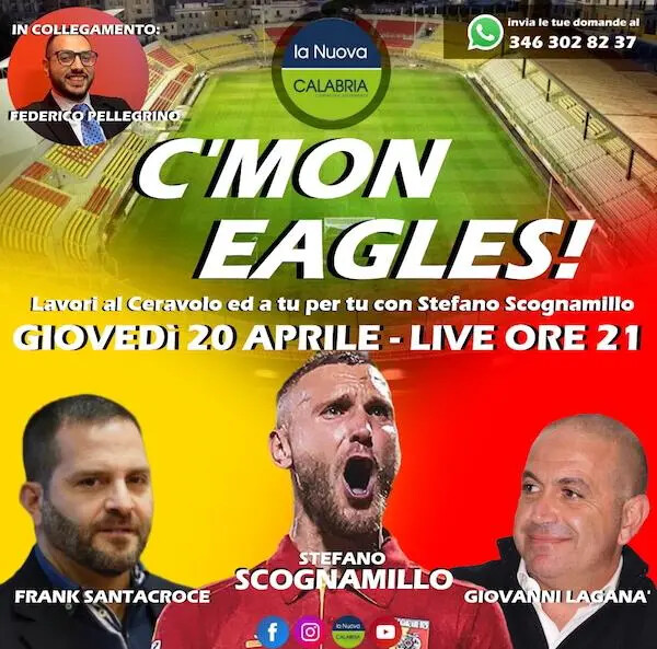 C'MON EAGLES, i lavori al Ceravolo e l'incontro con Stefano Scognamillo images C'MON EAGLES, i lavori al Ceravolo e l'incontro con Stefano Scognamillo