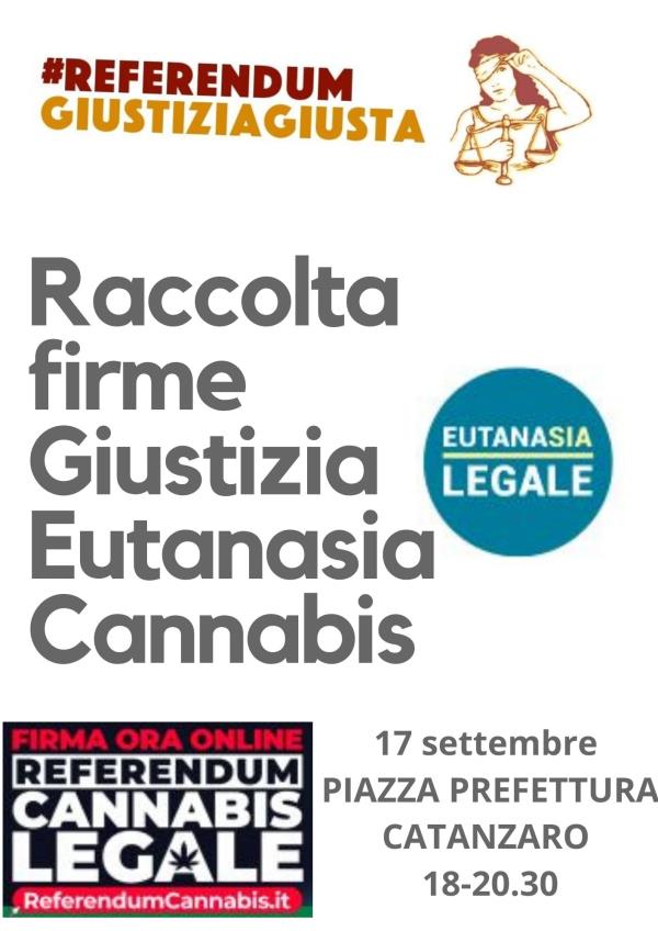 Giustizia, eutanasia, cannabis: venerdì a Catanzaro la raccolta firme  images Giustizia, eutanasia, cannabis: venerdì a Catanzaro la raccolta firme