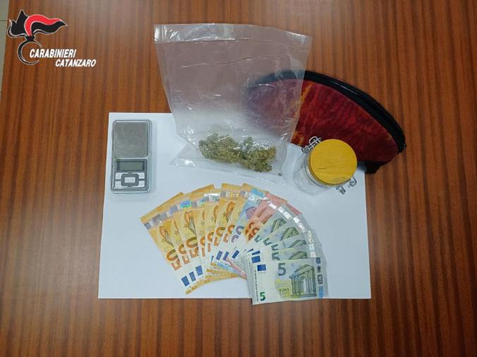 Droga, nei guai un 20enne e un 40enne di Amaroni trovati con la marijuana: uno in manette e l'altro ai domiciliari images Droga, nei guai un 20enne e un 40enne di Amaroni trovati con la marijuana: uno in manette e l'altro ai domiciliari