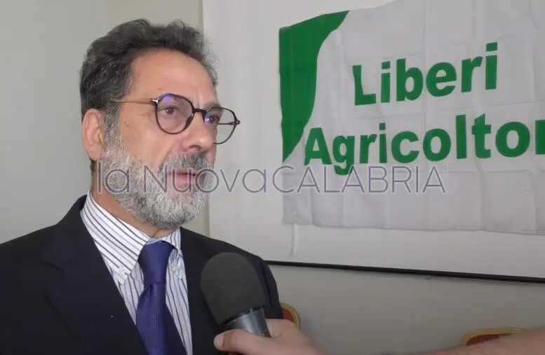 images Fondi per il carburante, Mangone chiede chiarezza alla Regione: "Confronto con tutti"