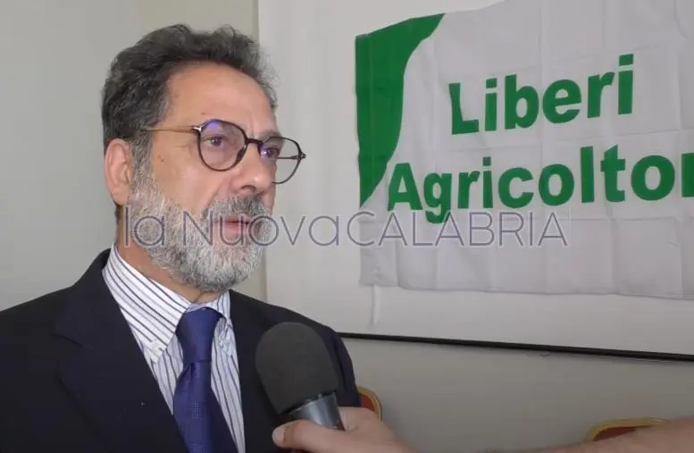 Fondi per il carburante, Mangone chiede chiarezza alla Regione: "Confronto con tutti"