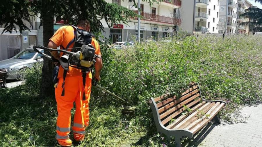 Pulizia grandi aree verdi a Catanzaro: si parte mercoledì da Corvo, Pistoia e Aranceto images Pulizia grandi aree verdi a Catanzaro: si parte mercoledì da Corvo, Pistoia e Aranceto