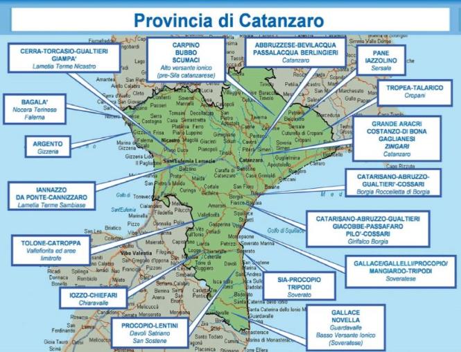DIA 2019. La "staffetta generazionale"per sopperire al venir meno di capi e affiliati decimati dagli arresti: la mafia calabrese resta la più affidabile images DIA 2019. La "staffetta generazionale"per sopperire al venir meno di capi e affiliati decimati dagli arresti: la mafia calabrese resta la più affidabile