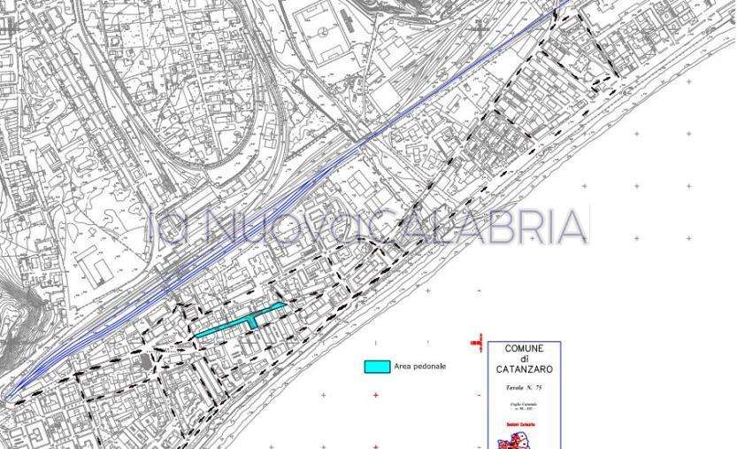images Cambi viabilità a Lido, l'altra versione di Fiorita nella chat della maggioranza: "E' dei nostri tecnici"