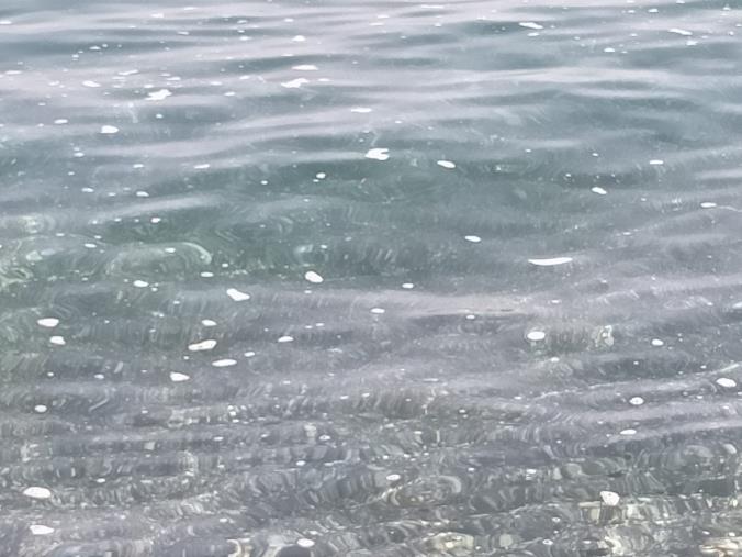 images Mare sporco, il Pd: "A Gizzeria, Falerna e Nocera condizioni disastrose" 