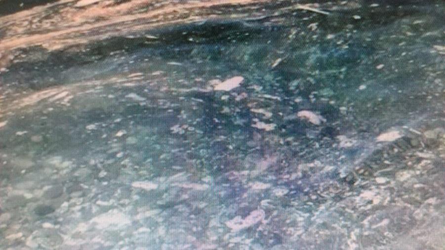 Balneazione, Arpacal: a Rocca Imperiale due punti non conformi images Balneazione, Arpacal: a Rocca Imperiale due punti non conformi