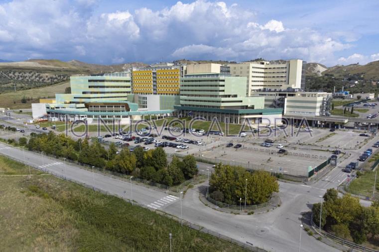 images Open Days all'Umg di Catanzaro, il campus abbraccia le future matricole: il programma