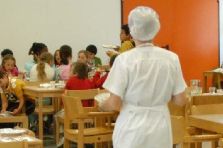 Mense scolastiche a Catanzaro. Zicchinella: "La App 'MangioAscuola' del Comune mette in subbuglio famiglie e studenti" images Mense scolastiche a Catanzaro. Zicchinella: "La App 'MangioAscuola' del Comune mette in subbuglio famiglie e studenti"