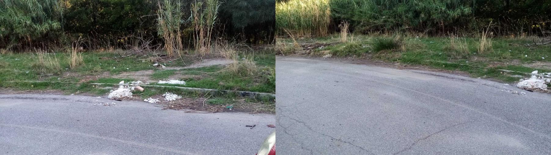 Squillace, ripulita l'area marina invasa da rifiuti e sterpaglie images Squillace, ripulita l'area marina invasa da rifiuti e sterpaglie