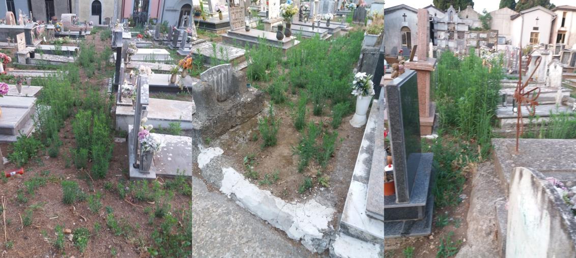 images Girifalco. Il cimitero comunale "offeso" da erba alta, sporcizia e incuria 