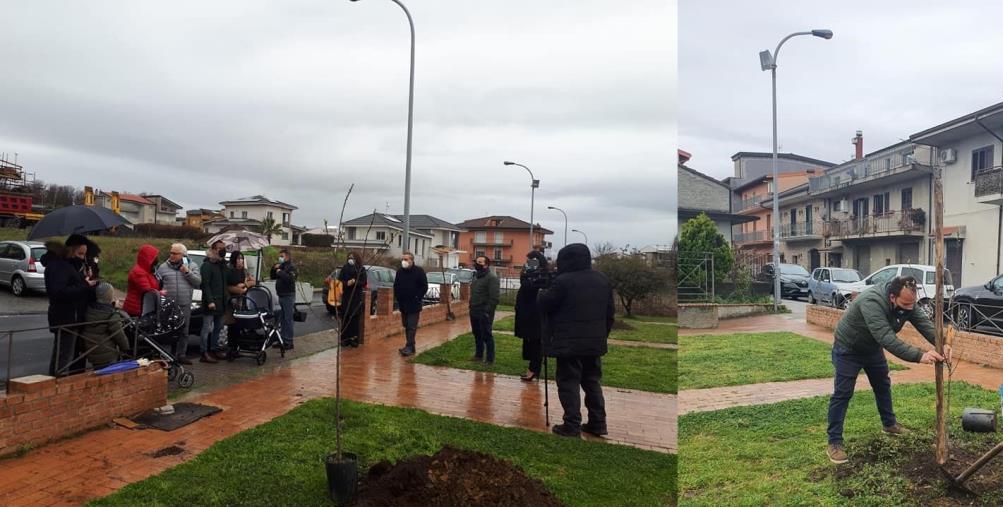 Girifalco. Piantati i primi tre "Alberi della Vita": l'iniziativa ambientale per ogni nato nel 2021 images Girifalco. Piantati i primi tre "Alberi della Vita": l'iniziativa ambientale per ogni nato nel 2021