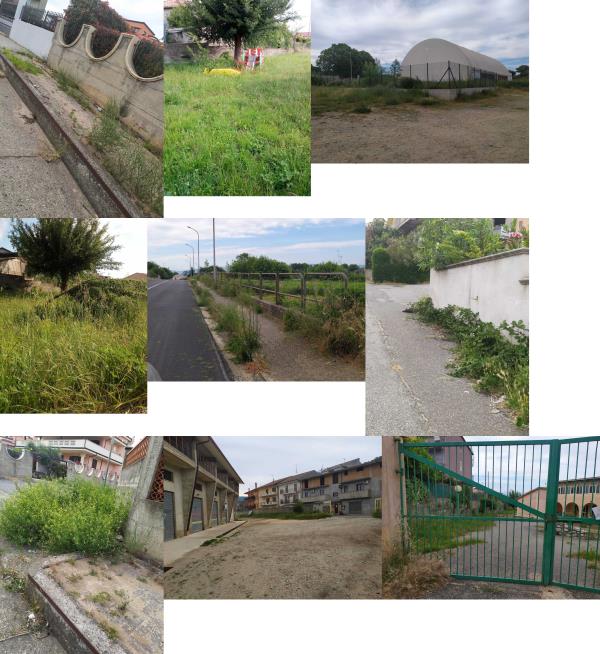 images Girifalco. Vonella (FI): "La Festa della Repubblica per i cittadini sarebbe la caduta della giunta Cristofaro" 