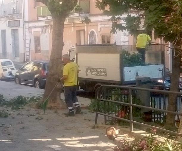 Catanzaro, alberi in sicurezza in zona Pontegrande: Scarpino ringrazia operai e amministratori images Catanzaro, alberi in sicurezza in zona Pontegrande: Scarpino ringrazia operai e amministratori