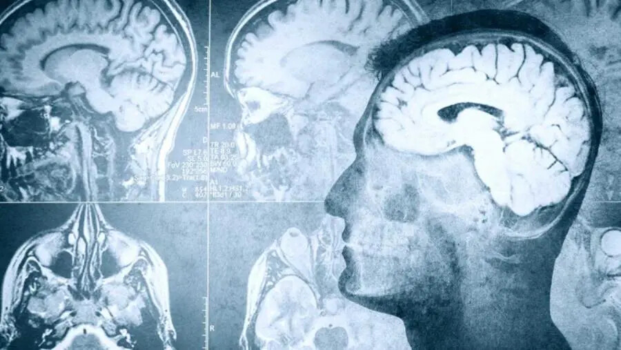 images Stili alimentari in ambito neurologico, 2 giorni di incontri a Catanzaro 