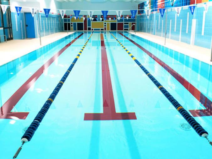 Nuoto, dalle società calabresi solidarietà e allenamenti da casa per tutti images Nuoto, dalle società calabresi solidarietà e allenamenti da casa per tutti