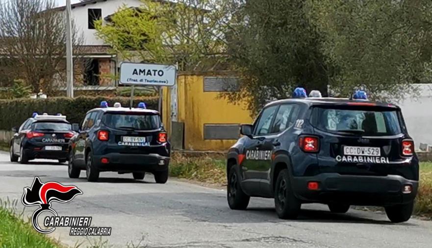 images Operazione "Dioniso”. Traffico di droga nel Reggino, 6 arresti (I NOMI)