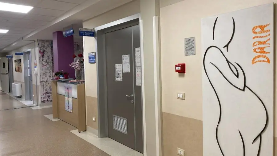 "Grave carenza di personale" e reparto in affanno: al Pugliese l'avviso per reclutare 3 ostetriche  images "Grave carenza di personale" e reparto in affanno: al Pugliese l'avviso per reclutare 3 ostetriche