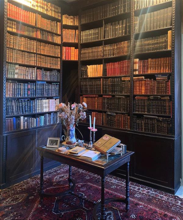 Vibo, biblioteca comunale e carenza di personale: i chiarimenti del dirigente del settore Cultura