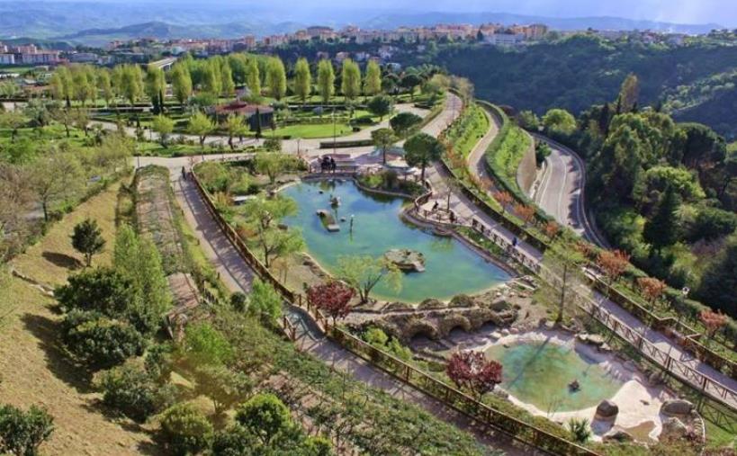images Ancora cinghiali al Parco della Biodiversità, lunedì sarà chiuso per consentire l'intervento dei selettori