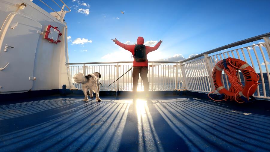 Il "raggio di luce" è sbarcato in Calabria: il viaggio di Paolo Goglio che diventerà un docufilm ha fatto tappa nella nostra regione images Il "raggio di luce" è sbarcato in Calabria: il viaggio di Paolo Goglio che diventerà un docufilm ha fatto tappa nella nostra regione