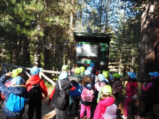 “A Scuola nel Parco”, i bambini futuri custodi del Parco Nazionale della Sila
 images “A Scuola nel Parco”, i bambini futuri custodi del Parco Nazionale della Sila