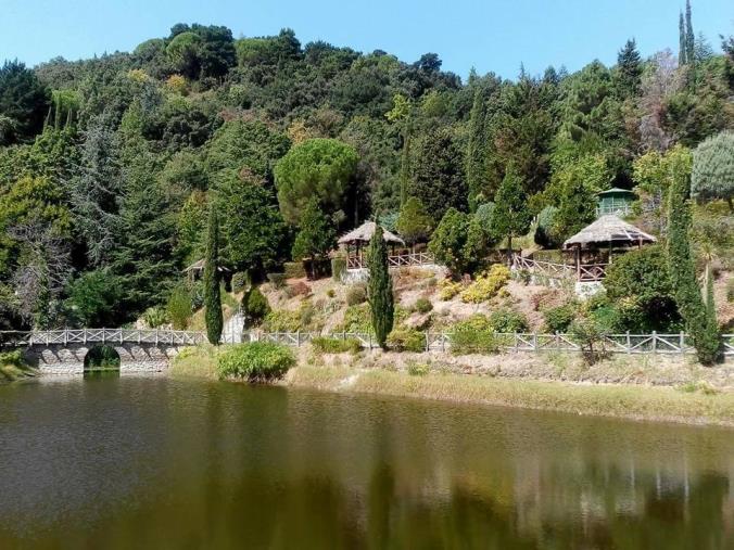 images Catanzaro, fasce parafuoco al parco Li Comuni: "Calabria Verde ha subito risposto alla richiesta del sindaco"