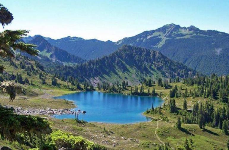 images Poste Italiane lancia un francobollo dedicato al Parco Nazionale della Sila