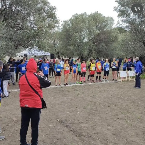 Atletica leggera, al Parco Scolacium il Campionato regionale di Cross 2023 images Atletica leggera, al Parco Scolacium il Campionato regionale di Cross 2023
